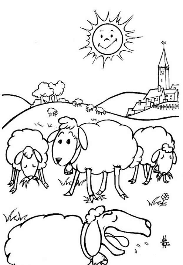 Plansa de colorat cu Oaie 15 7